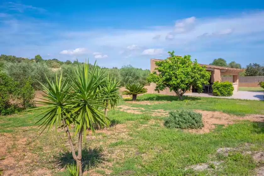 Ferienhaus auf Casa fina, Felanitx