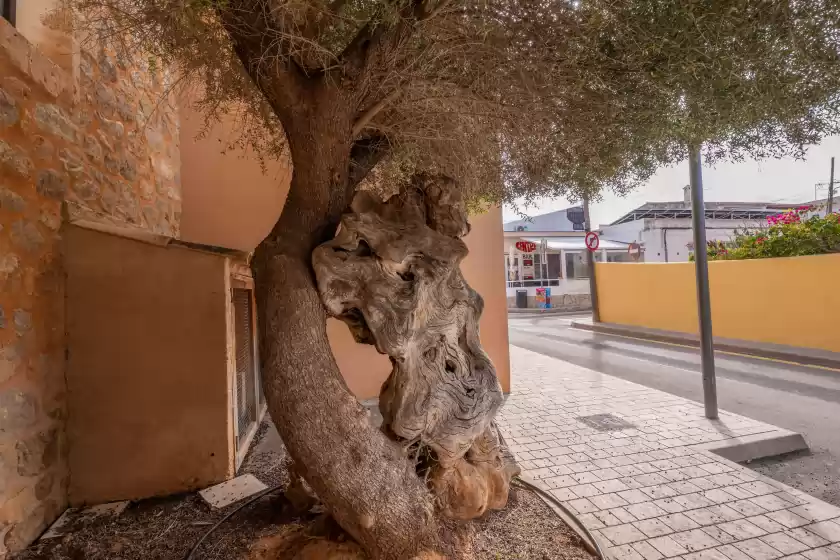 Alquiler vacacional en Brisa marina, Colònia de Sant Pere