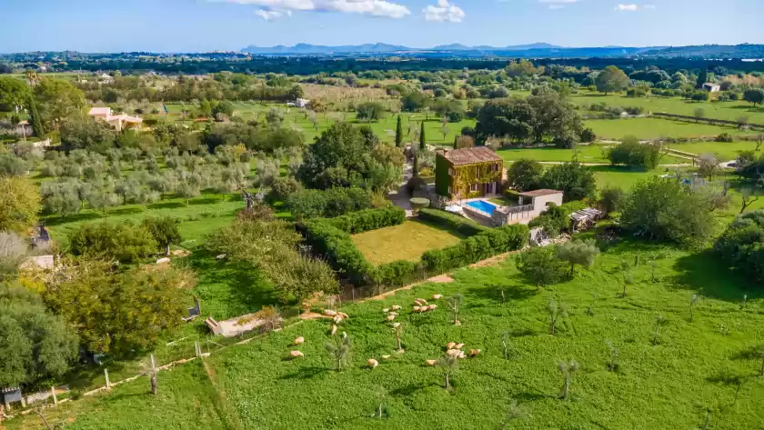 Holiday rentals in Sa sort llarga, Moscari