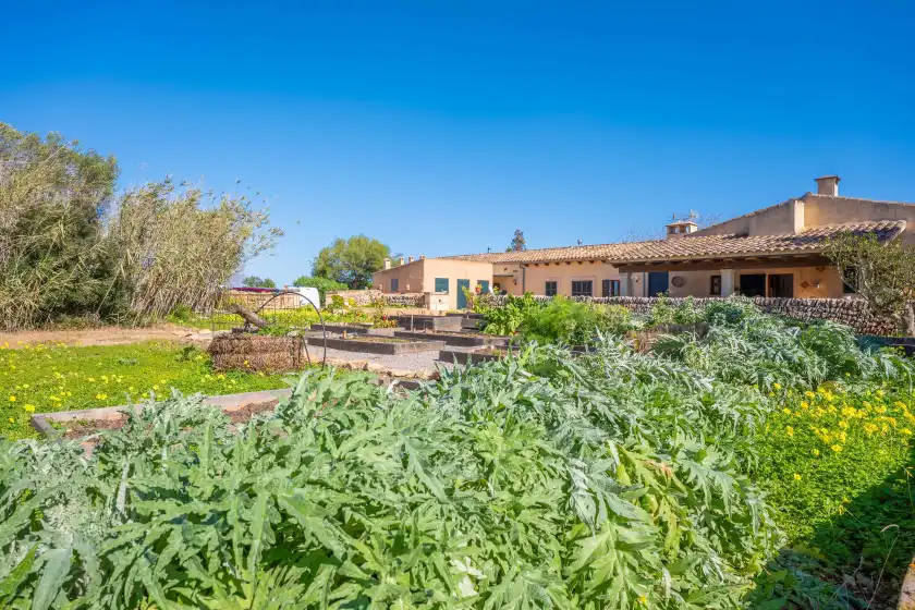 Holiday rentals in Agroturismo mondrago (antic na martina), Portopetro
