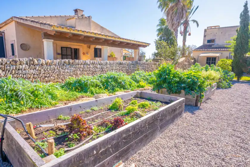 Holiday rentals in Agroturismo mondrago (antic na martina), Portopetro