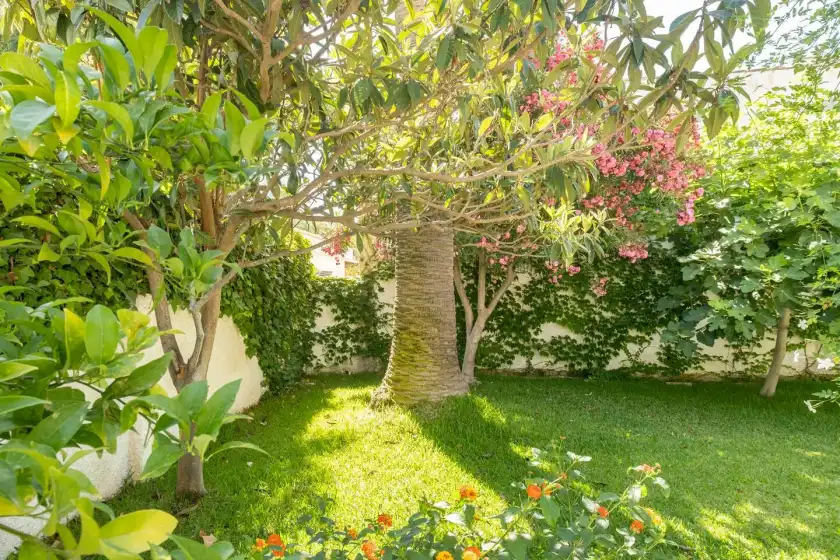 Holiday rentals in Villa jardín botánico, Orihuela Costa
