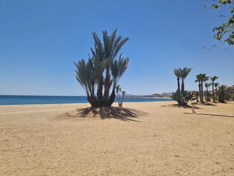 Alquiler vacacional en Casa lijffijt, Todosol