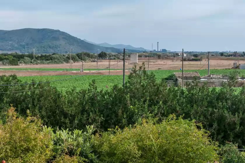 Alquiler vacacional en Es molinet, Sa Pobla