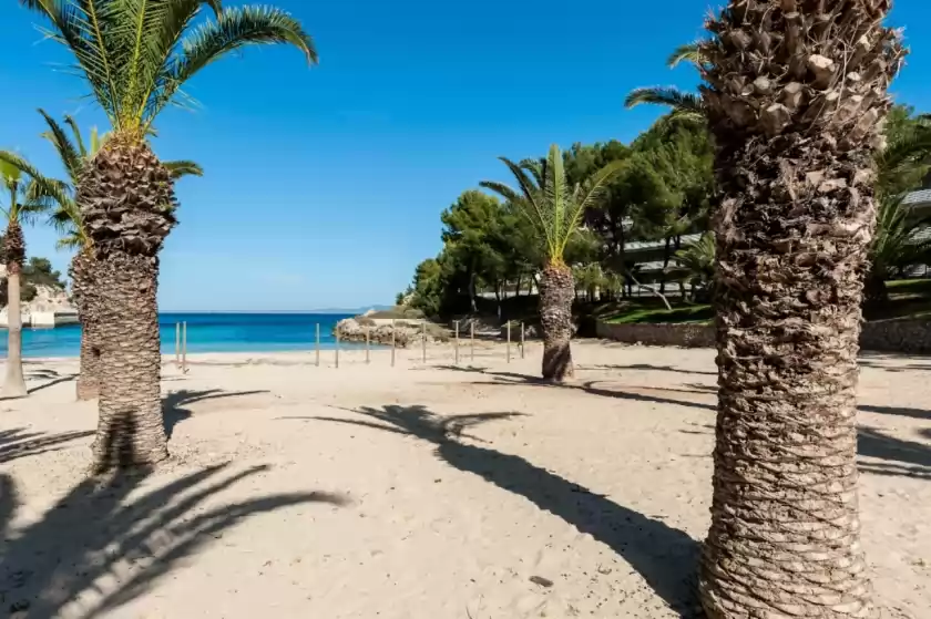 Alquiler vacacional en Esmeralda, Badia de Palma