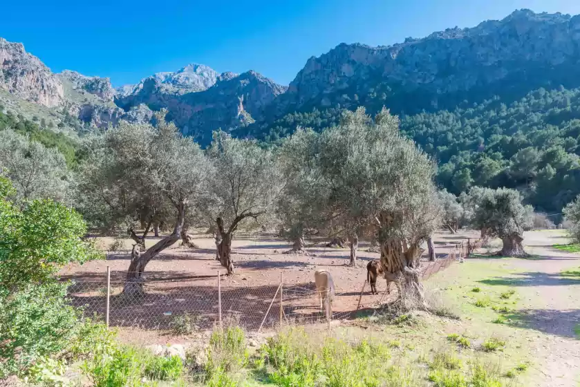 Ferienhaus auf Racó de tuent , Cala Tuent-sa Calobra