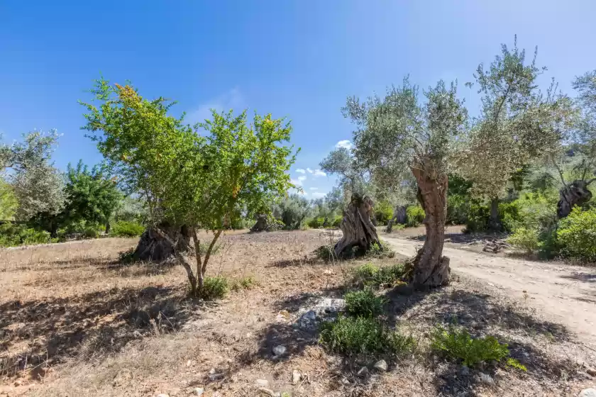 Ferienhaus auf Can guillonet, Pollença
