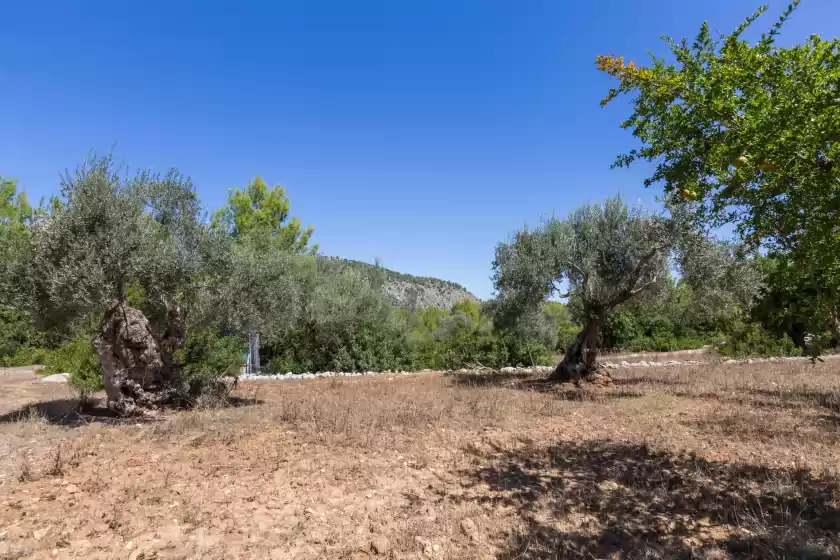 Ferienhaus auf Can guillonet, Pollença