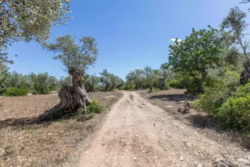Ferienhaus auf Can guillonet, Pollença