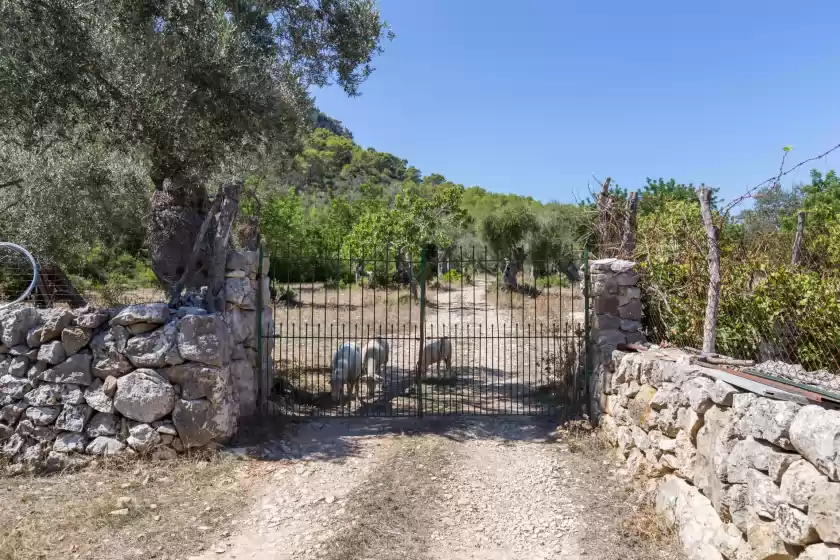 Ferienhaus auf Can guillonet, Pollença