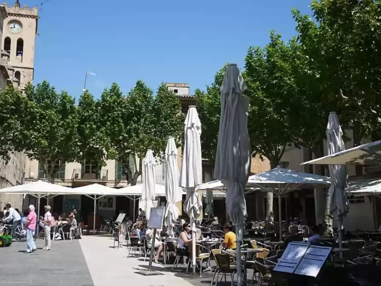 Holiday rentals in Calvari, Pollença