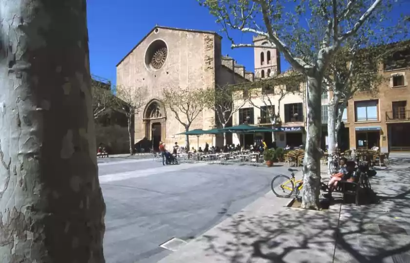 Holiday rentals in Calvari, Pollença