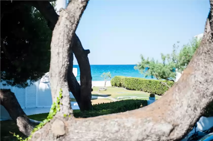 Holiday rentals in Duna, Platja de Muro