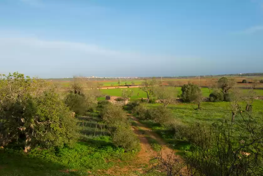 Holiday rentals in Son salom, Santanyí