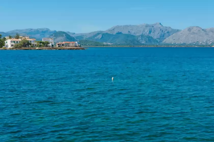 Alquiler vacacional en Pergola, Alcúdia