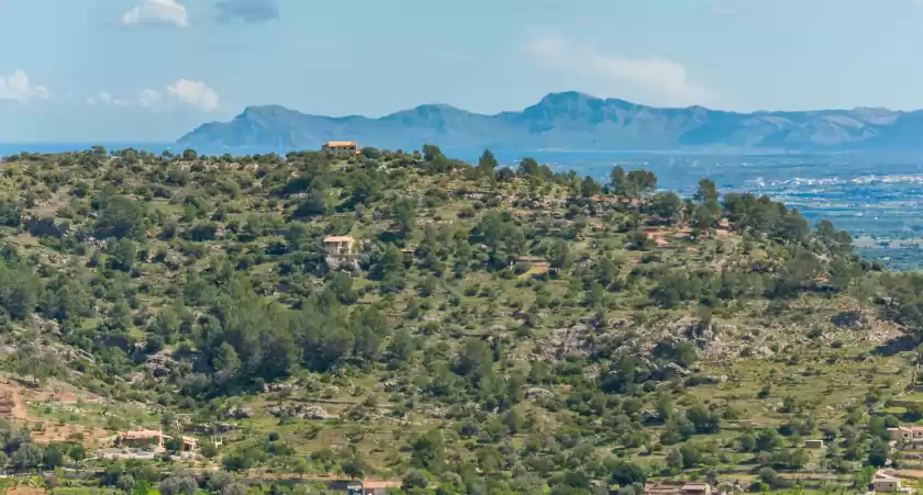 Alquiler vacacional en Pergola, Alcúdia
