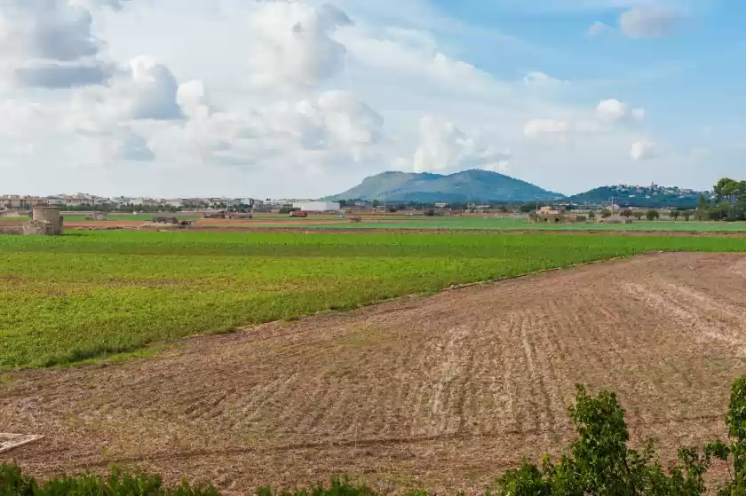 Alquiler vacacional en Tous, Sa Pobla