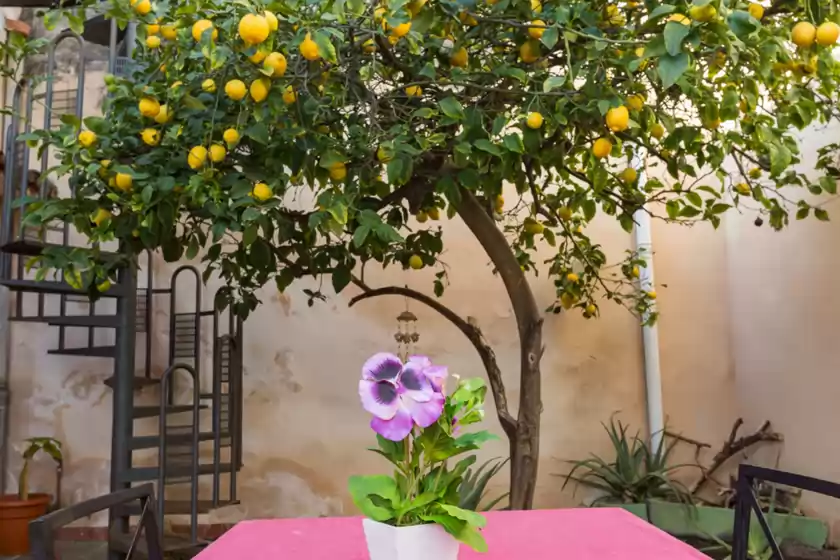 Alquiler vacacional en Tous, Sa Pobla