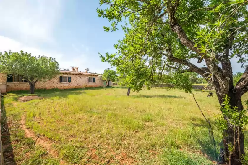 Alquiler vacacional en Picornell, Llubí