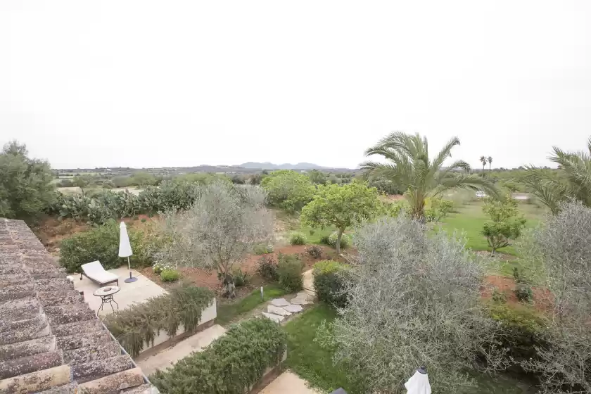 Alquiler vacacional en Sa franquesa suite, Vilafranca