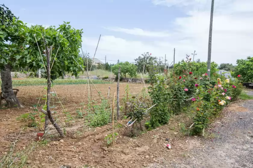 Holiday rentals in Can verga, Pollença