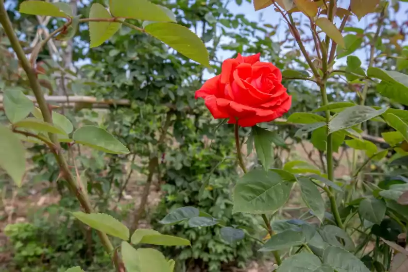 Ferienunterkünfte in Can verga, Pollença