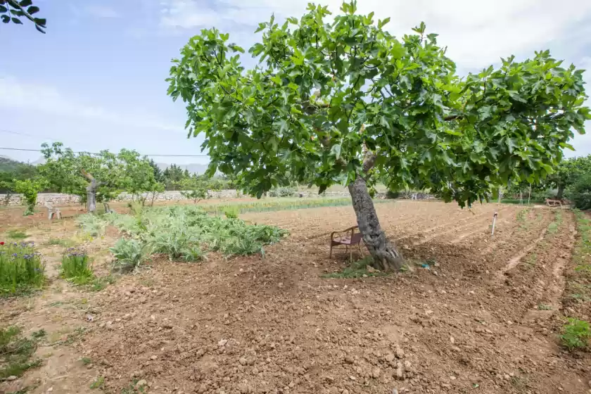 Alquiler vacacional en Can verga, Pollença