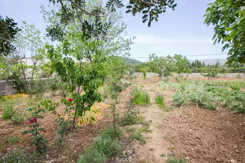 Holiday rentals in Can verga, Pollença