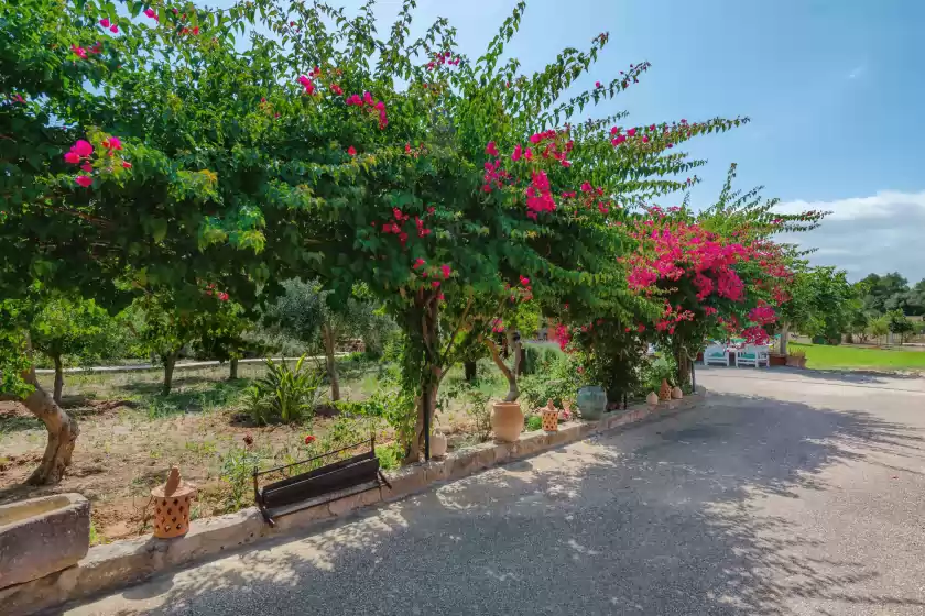 Ferienunterkünfte in Can calafat, Can Picafort