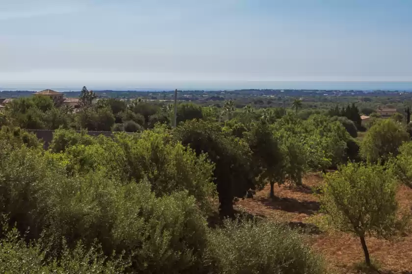 Ferienhaus auf Can marines, s'Horta