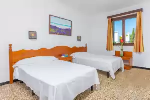 La ceiba - Holiday rentals in Cala d'Or