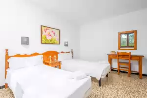 La ceiba - Holiday rentals in Cala d'Or