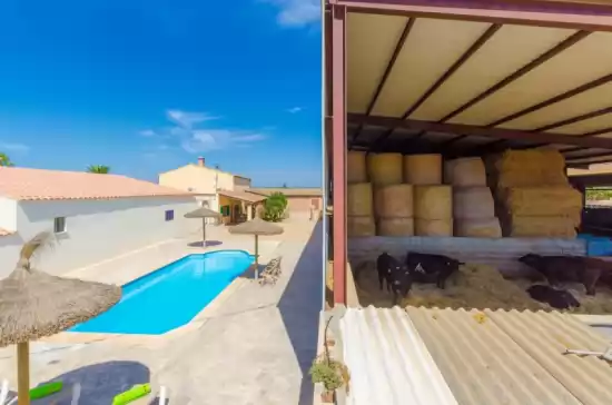 Holiday house for 4 guests . With Pool, Air conditioning, Wifi and Optional FREE Cancellation  Sa caseta de ses vaques.son covas in Campos, Mallorca, Illes Balears, España