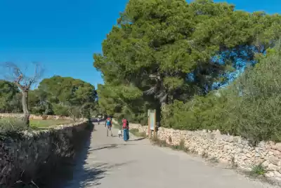 Holiday rentals in Parque Natural de Mondragó