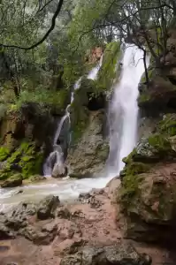 Alquiler vacacional en Salt Des Freu