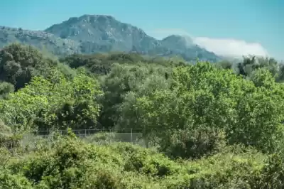 Alquiler vacacional en Capdepera, Mallorca