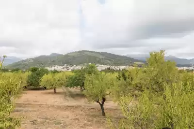 Ferienunterkünfte in Lloseta, Mallorca