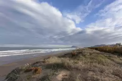 Oliva, Valencia, Vacalia.com