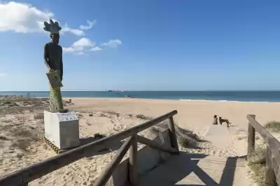 Playa Punta de Piedras, Cádiz, Vacalia.com