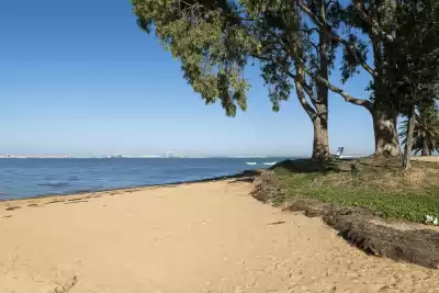 Playa de la Casería, Cádiz, Vacalia.com