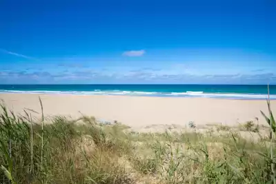 Playa Mangueta, Cádiz, Vacalia.com