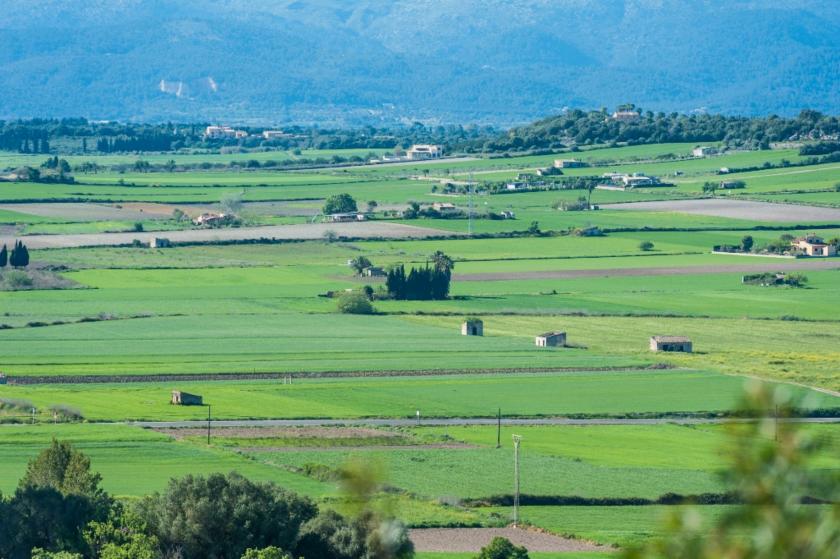 Alquiler vacacional en Son morro, Santa Margalida