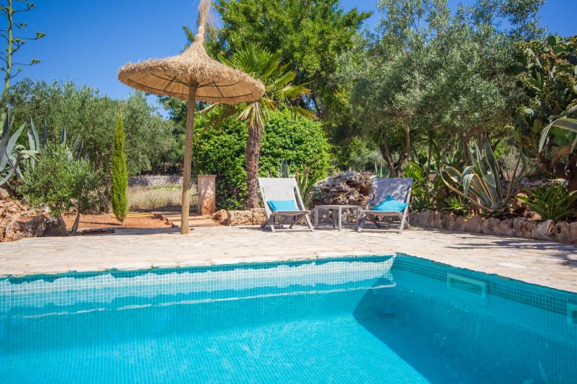Holiday rentals in Can pina - adults only (eco pina), Costitx