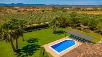 Holiday rentals in Son vanrell (campos)
