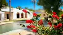 Holiday rentals in Villa velar