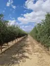 Alquiler vacacional en Casa antonio