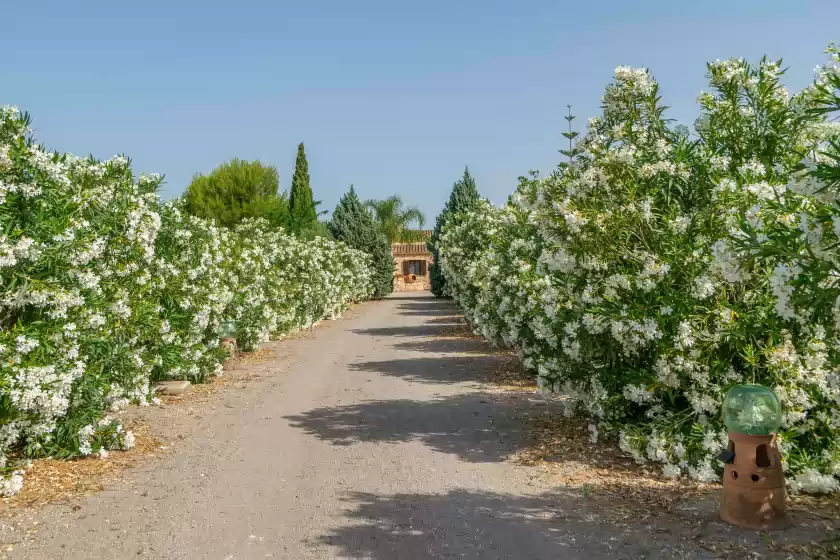 Ferienunterkünfte in Banc doli, Manacor