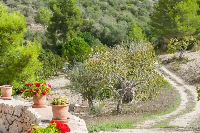 Ferienunterkünfte in Hort de sa vall, Manacor