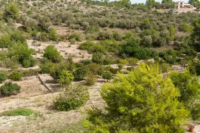 Ferienunterkünfte in Hort de sa vall, Manacor