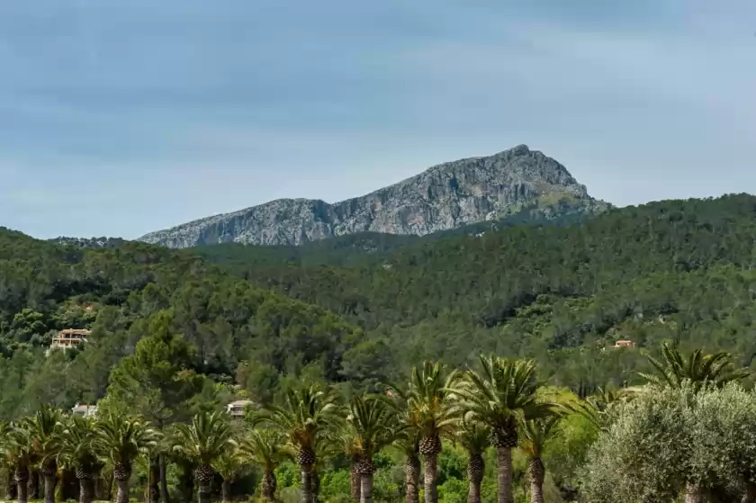 Alquiler vacacional en Can blau, Puigpunyent